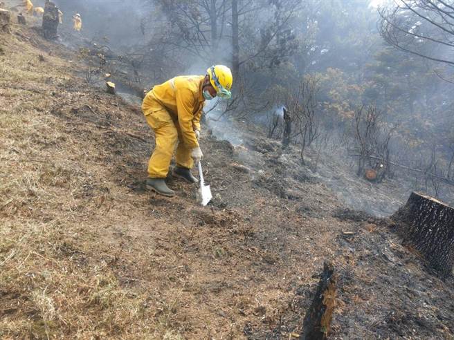 NCC高官火燒玉山8天獲控制，森管員歡呼終於能回家。圖為森林護管員開闢防火線阻絕火勢蔓延。（嘉義林管處提供）