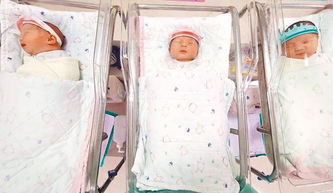 兩岸生育率皆呈下降走勢。（嘉義市政府提供）