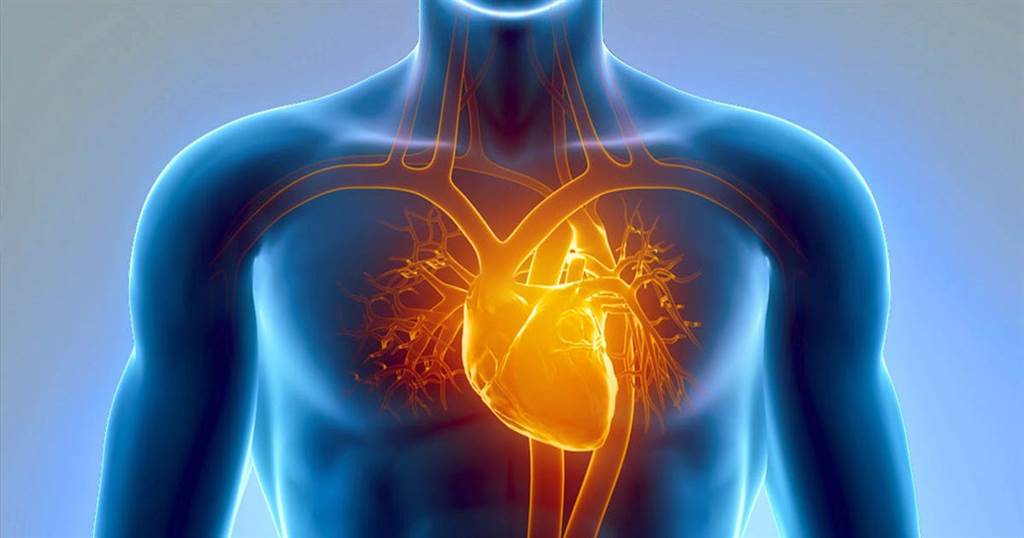 心脏病在内的心血管疾病，一直是十大死因排名第二，仅次于癌症。图/shutterstock(photo:ChinaTimes)