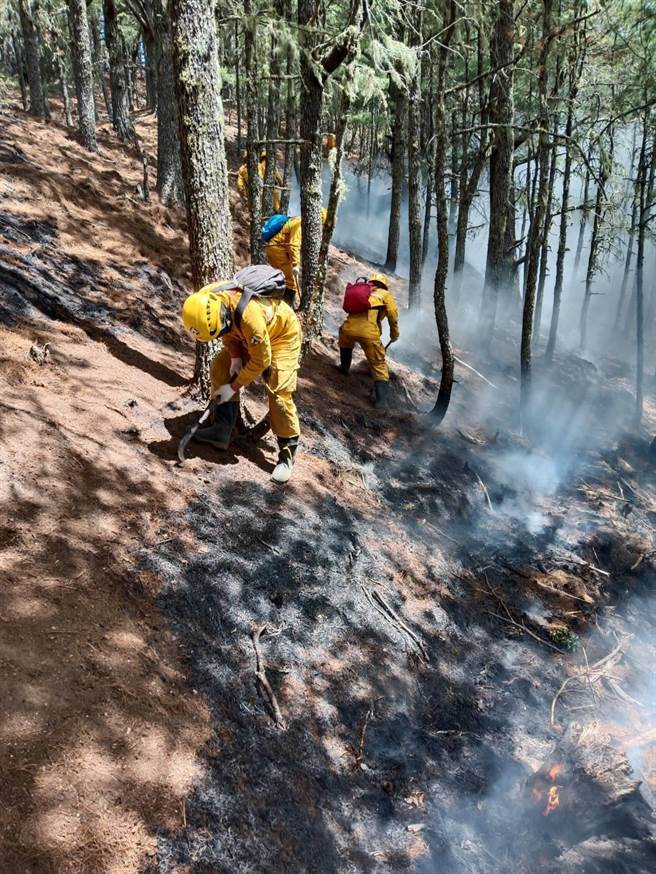 森林护管员挖开移除腐植质层确实扑灭地下火。（嘉义林管处提供／张亦惠嘉县传真）
