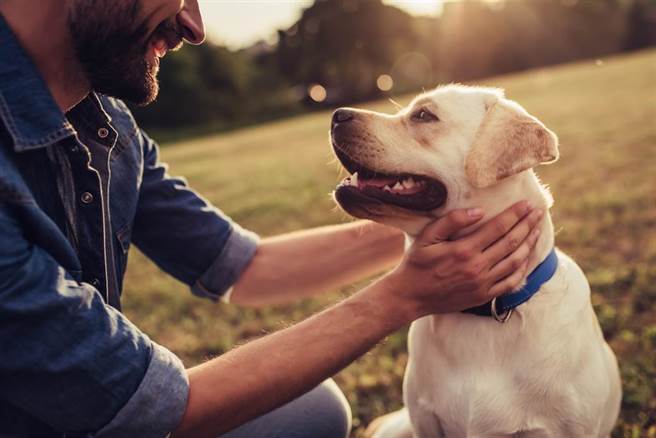 幫寵物戴人用口罩會熱死牠！飼主必知3件防疫重點。(示意圖/Shutterstock)
