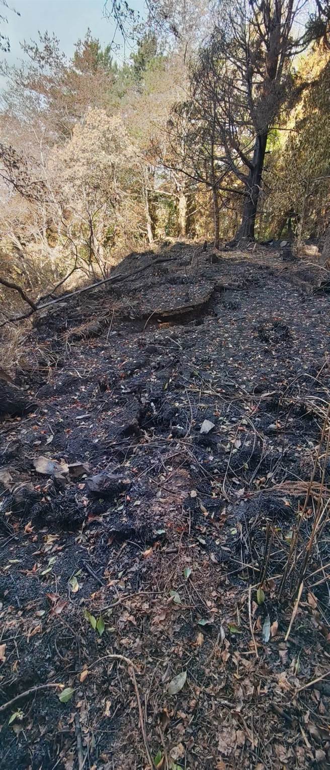 马崙山森林火灾连烧8天7夜，5.4公顷山林烧成灰烬。（东势林管处提供／王文吉台中传真）