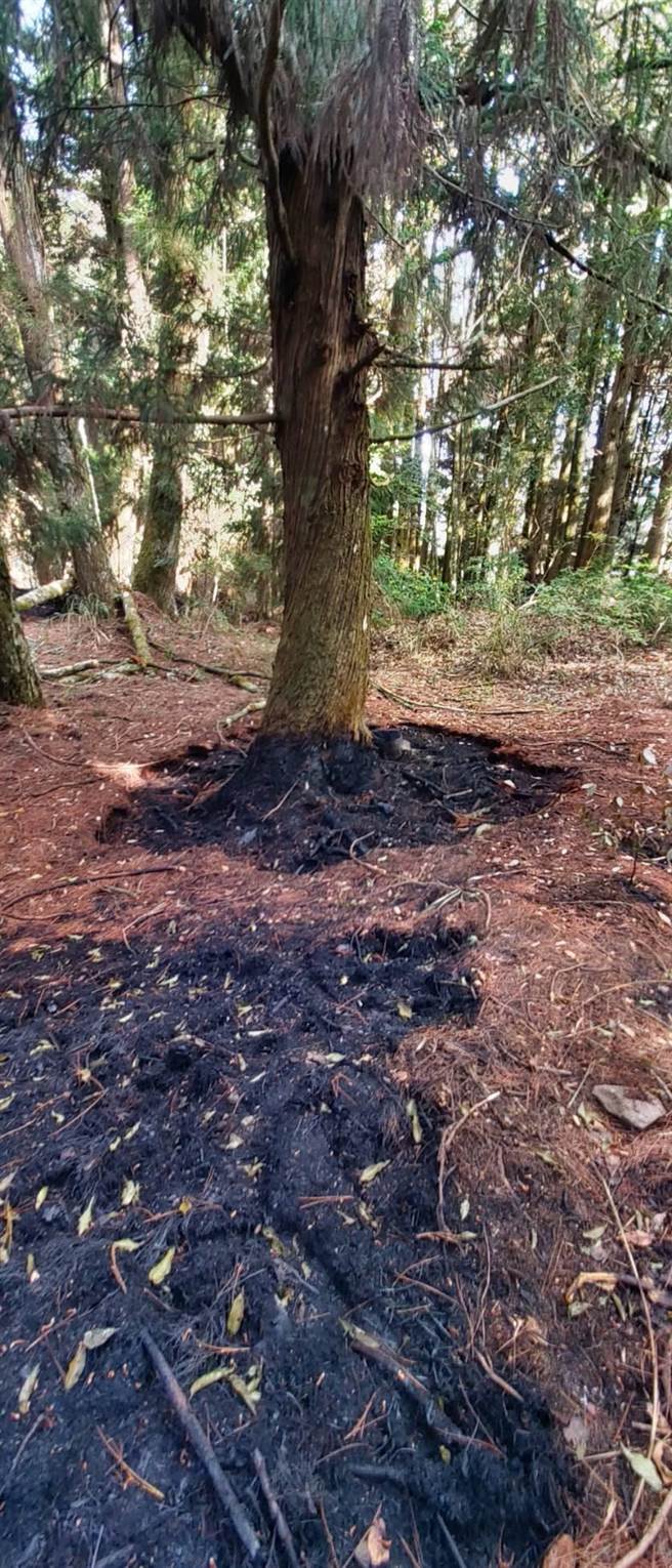 马崙山森林火灾连烧8天7夜，5.4公顷山林烧成灰烬。（东势林管处提供／王文吉台中传真）