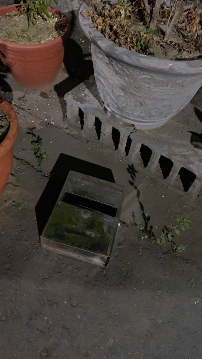 林女手持砖块敲打姑姑家大门，砸毁木质门牌及推倒盆栽、拆下不銹钢信箱丢地上。(戴志扬翻摄)