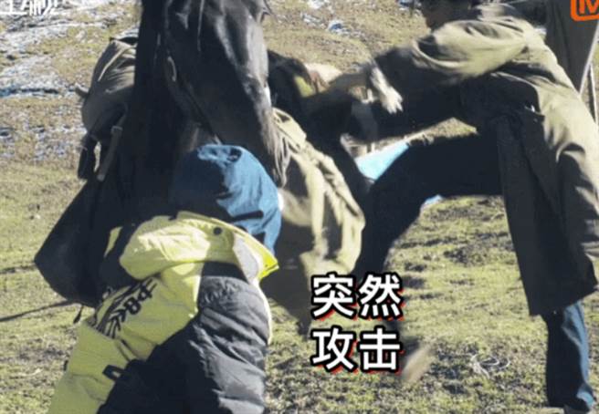 秦昊今日分享拍戏花絮，惨遭马狠踹，痛到哭笑不得。(图/ 摘自秦昊微博)