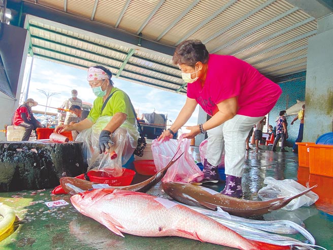 全台3级警戒，所有餐厅禁止内用，新鲜鱼货销售通路变少，导致台东富冈渔港拍卖渔市鱼价下滑5成。（蔡旻妤摄）