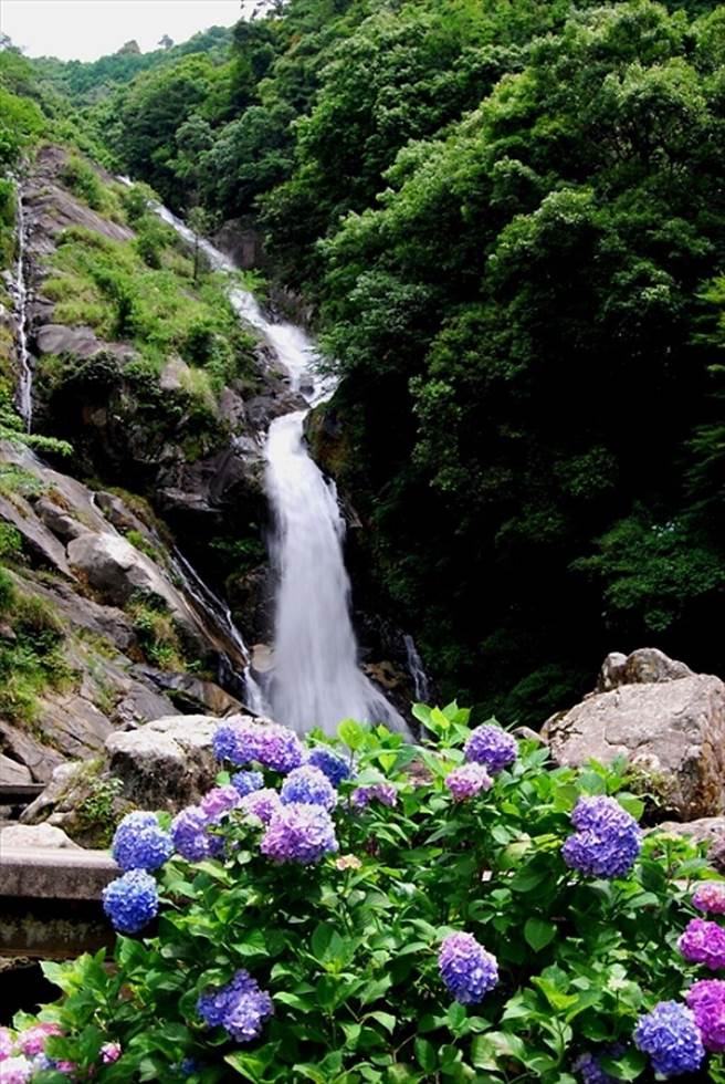 (圖/《旅奇傳媒》 提供)
