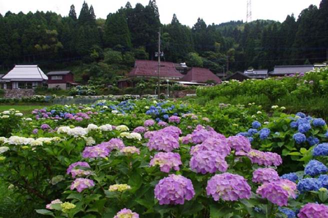 (圖/《旅奇傳媒》 提供)