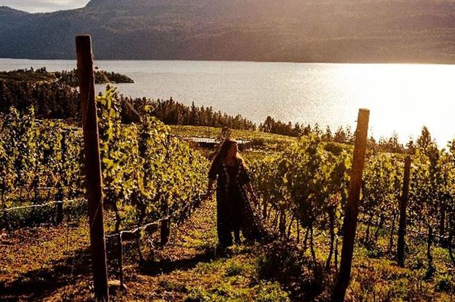 ▲欧垦娜根河谷。    图：加拿大旅游局╱提供