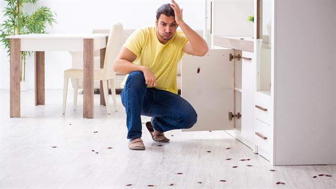 泰國一名善良的男子看到蟑螂被踩，竟撿起來送醫治療。圖片為示意圖非本人（圖／shutterstock）