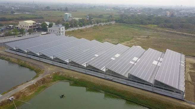 位于嘉义县义竹乡的渔电共生太阳能电厂。（泰阳光电提供）