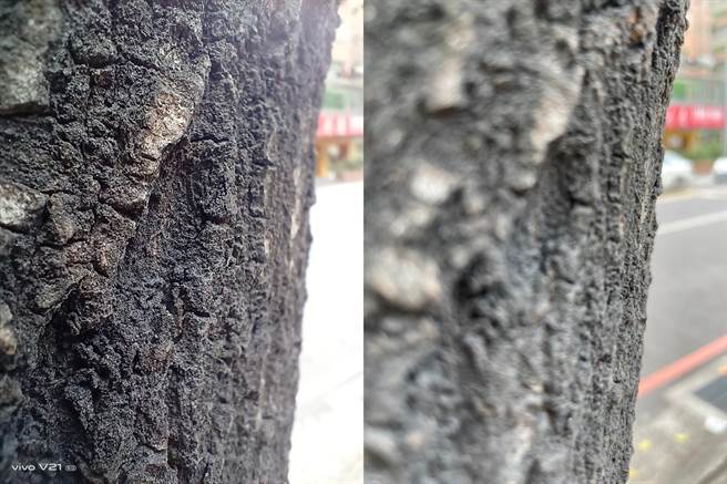 vivo V21 5G（左）与iPhone 12 Pro日间对比照片（4）。（黄慧雯摄）