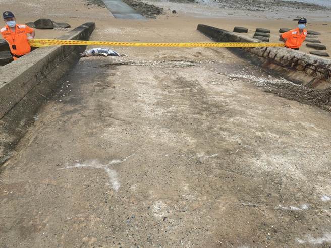 金门岸巡队立即管制现场，并通报水试所派员协同处理。（金门岸巡队提供）