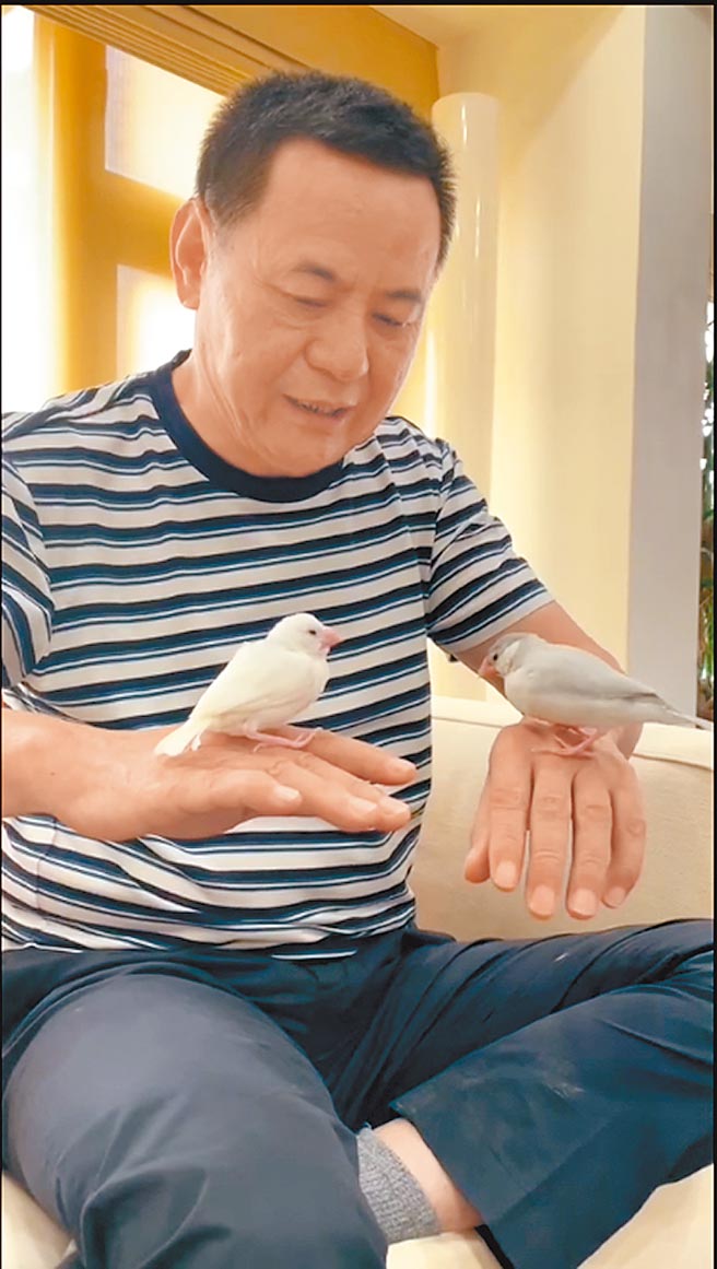 蔡振南把《观音对我笑》剧中的白文鸟带回家养，还多买一只作伴。（大爱台提供）