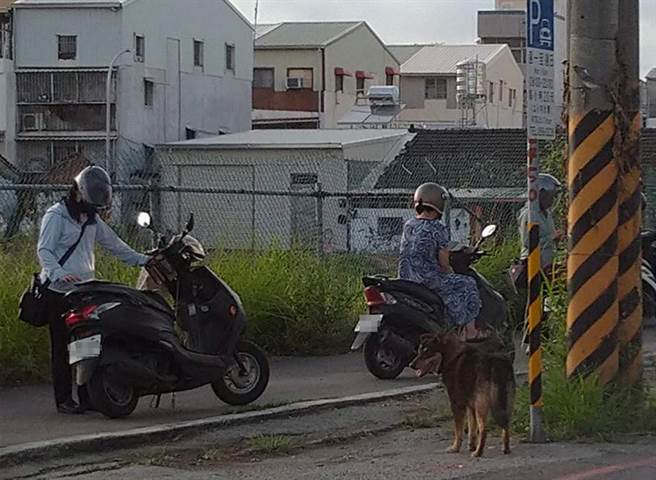 台南市永康区有人群聚抓宝可梦。（党团提供／洪荣志台南传真）