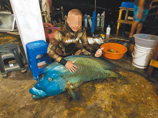 蘭嶼李、謝2男獵殺龍王鯛，被台東地檢署提起公訴，照片成為鐵證。（民眾提供／莊哲權台東傳真）