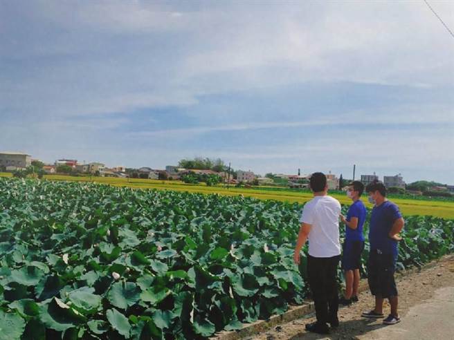 勘灾小组现勘莲田。（台南市政府提供／张毓翎台南传真）