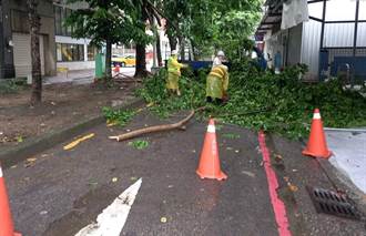 因應鋒面通過帶來豪大雨 中市建設局整備防汛