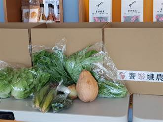 台南青農跨區合作  蔬菜箱宅配搶商機