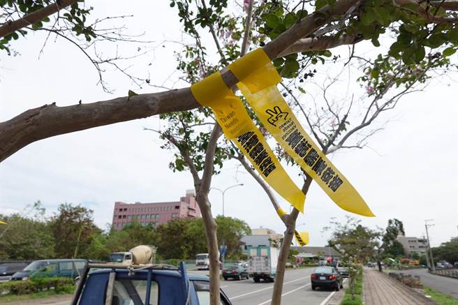 国民党台中市党部表示，民眾藉着绑黄丝带的方式发出怒吼，希望唤起全国人民，不分蓝绿，一起向蔡政府「要疫苗」。（国民党台中市党部提供／卢金足台中传真）
