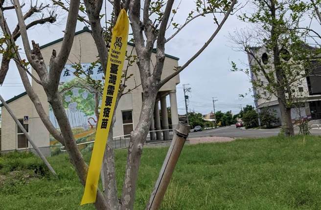 彰化26乡镇都能看到印有「臺湾需要疫苗」的黄丝带，希望唤醒装睡的人。(民眾提供／吴建辉彰化传真)