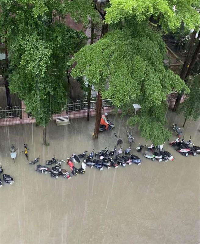 信义区今（4）日午后炸雨，竟有网友在路上意外捕获一条鱼。（图／PTT八卦板）