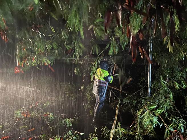 南投竹山镇100线是竹山往返集集及鹿谷主要道路，路树不敌大雨倾倒，员警冒雨徒手清理。（竹山分局提供／卢金足南投报导）