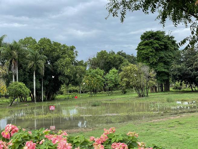 雨来了，意外让山上花园水道博物馆神秘景点悄悄现身。（曹婷婷摄）