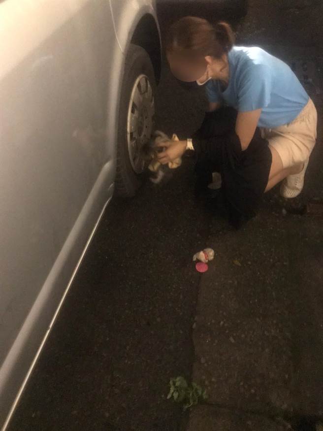 台中30多岁的廖姓女子日前等红灯时，发现路边车辆疑有猫咪受困，求助警察协助猫咪脱困。（台中市警三分局提供／张妍溱台中传真）