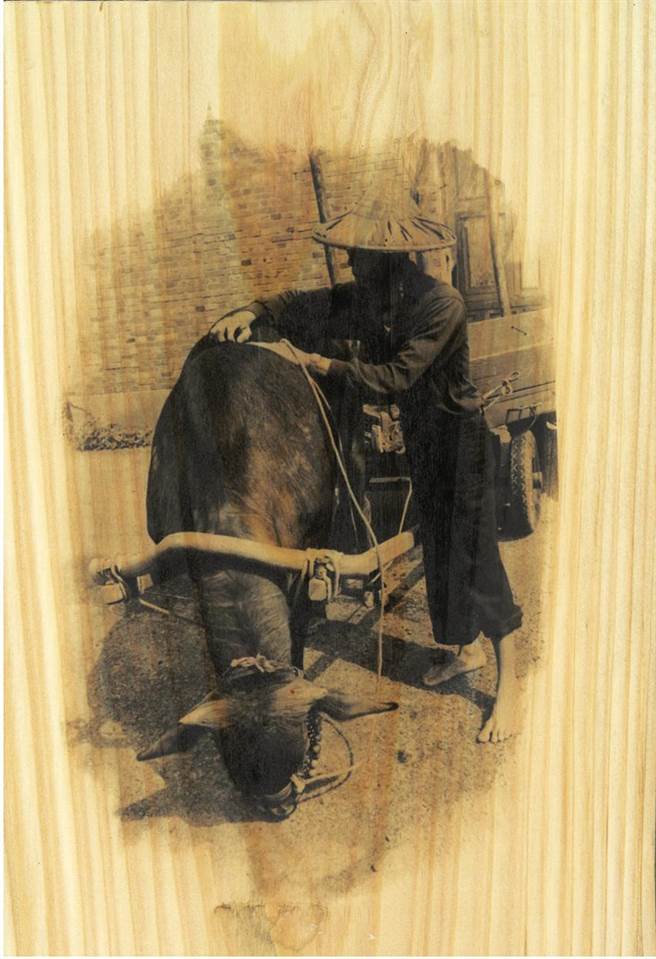 农委会林业试验所与黑白照片摄影大师顏哲章老师合作，成功研发感光乳剂。（图／林试所提供）