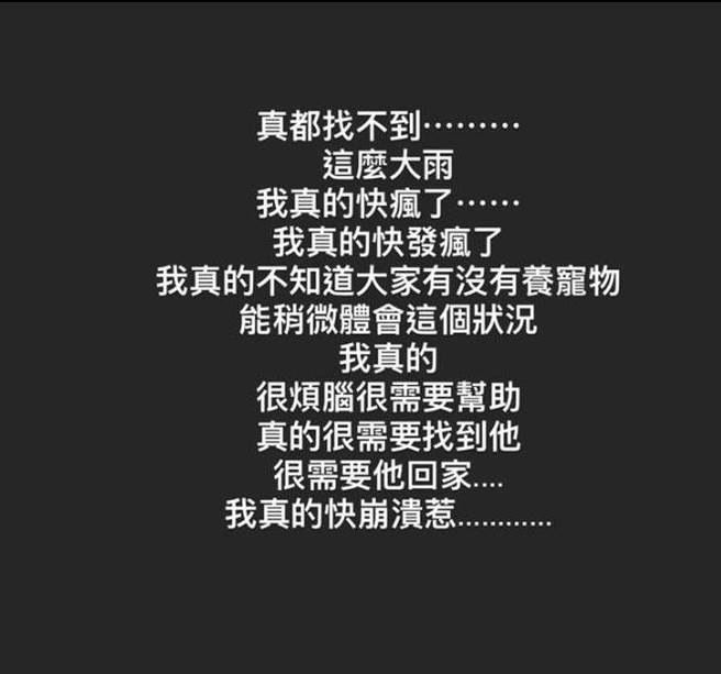 梓梓在个人IG分享爱猫走失讯息，期盼粉丝朋友能够协助。（图/梓梓IG)