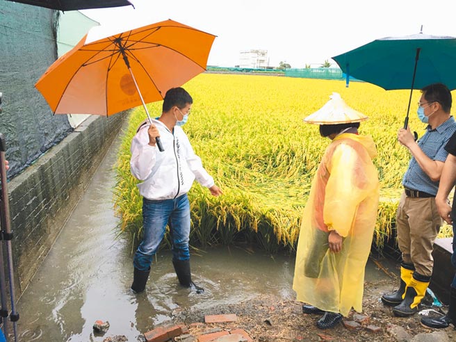 彩云颱风带来豪雨解渴，但也造成云林农业灾损，县长张丽善（右二）6日下午赶往西螺镇勘查。（周丽兰摄）