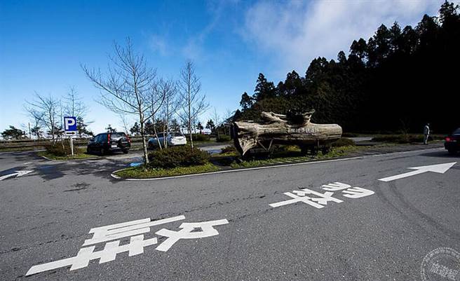 太平山即时影像拍摄处(图/林务局罗东林区管理处提供)