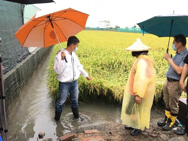 彩云颱风带来豪雨解渴，但也造成云林农业灾损，县长张丽善到西螺与二崙的菜园与稻田勘灾，左一是县议员李明哲，右一是农业处长吴芳铭。（周丽兰摄）
