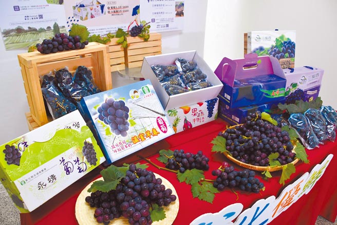 彰化县葡萄产量占全台一半以上，又以溪湖所生产的巨峰葡萄为最大宗；无奈因新冠疫情，让染疫盘商家族备受指责，连带葡萄也蒙受无妄之灾。（彰化县政府提供／谢琼云彰化传真）