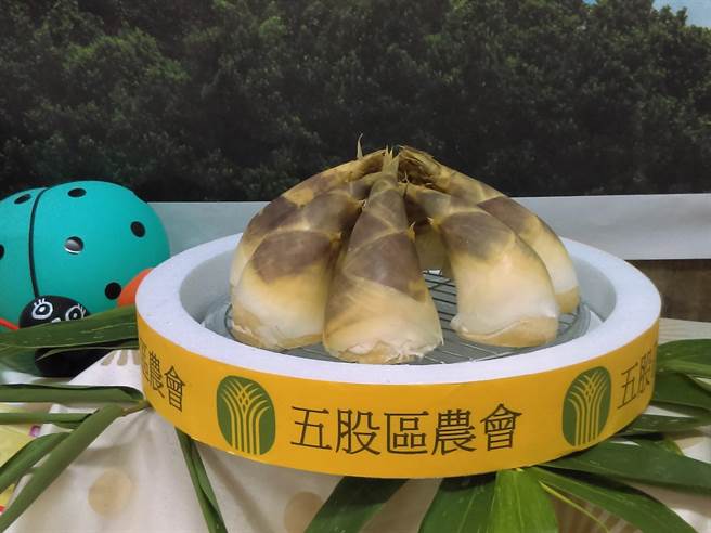 五股竹笋质地细致、口感鲜甜（区公所提供／戴上容新北传真）