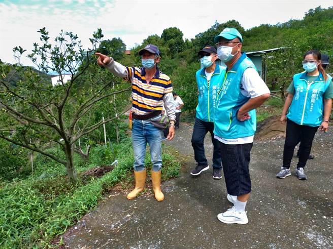 因旱情延续将近一年，以往一棵能长1、200颗柑橘的果树，今年因缺水剩不到10颗。（立委赖惠员服务处提供／张毓翎台南传真）