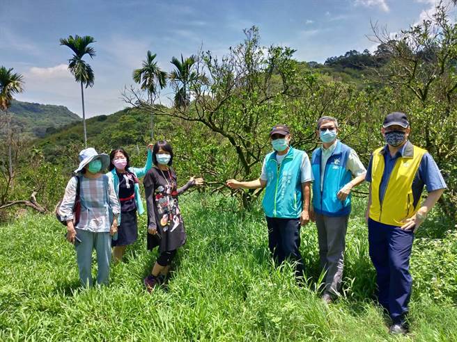 赖惠员服务团队今天与农委会农粮署、台南农改场、台南市政府农业局、东山区公所、东山区农会人员会勘。（立委赖惠员服务处提供／张毓翎台南传真）