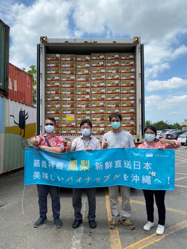 打猫合作社9日出口6.72公吨的凤梨到日本冲绳。（嘉县政府提供／张亦惠嘉县传真）