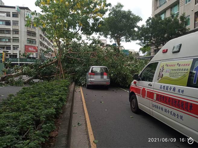 吴姓女驾驶正于该路口停等红绿灯，突然被倒塌的中央分隔岛路树砸中车辆顶部，所幸车辆钣金凹陷，人未受伤但受困车内无法动弹。(戴志扬翻摄)