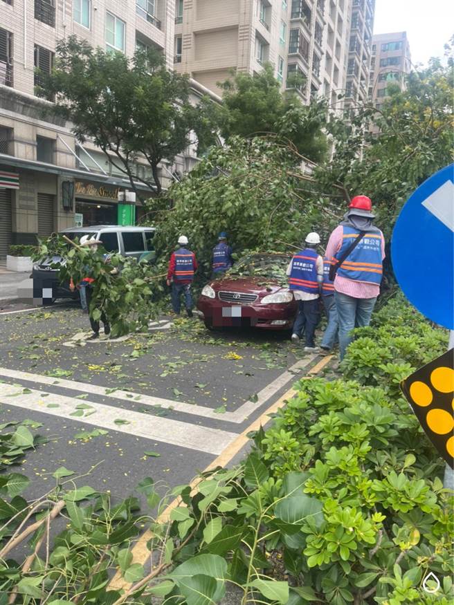 吴姓女驾驶正于该路口停等红绿灯，突然被倒塌的中央分隔岛路树砸中车辆顶部，所幸车辆钣金凹陷，人未受伤但受困车内无法动弹。(戴志扬翻摄)