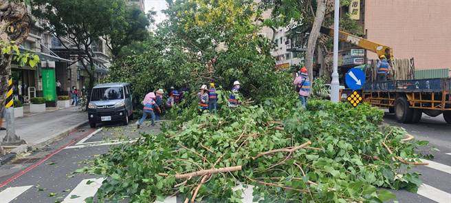 吴姓女驾驶正于该路口停等红绿灯，突然被倒塌的中央分隔岛路树砸中车辆顶部，所幸车辆钣金凹陷，人未受伤但受困车内无法动弹。(戴志扬翻摄)