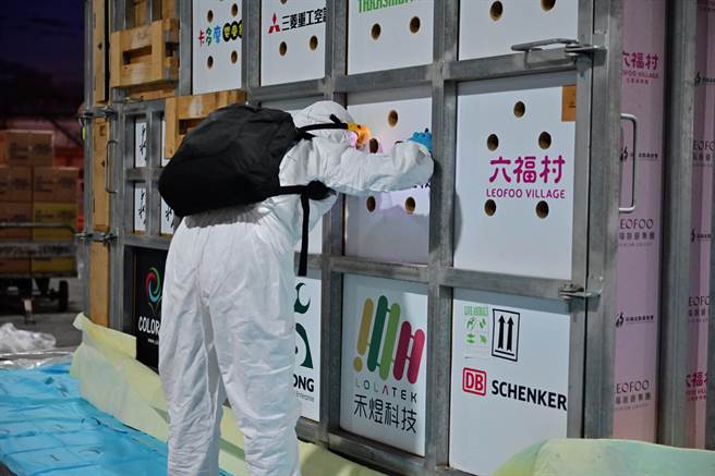 六福村团队在搭机前，再度确认艾玛的状况。（六福村提供）