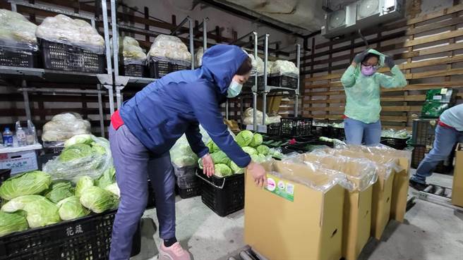 花莲县蔬菜运销合作社推出「蔬菜箱」宅配服务，工作人员忙着分类、打包。（王志伟翻摄）