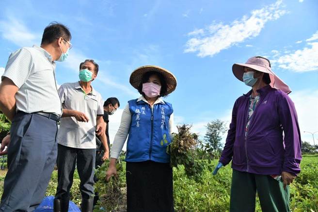 云林县长张丽善（中）会同台南农业改良埸云林分场、农粮署中区分署人员勘查连日大雨造成的农业灾损。（云林县府提供）