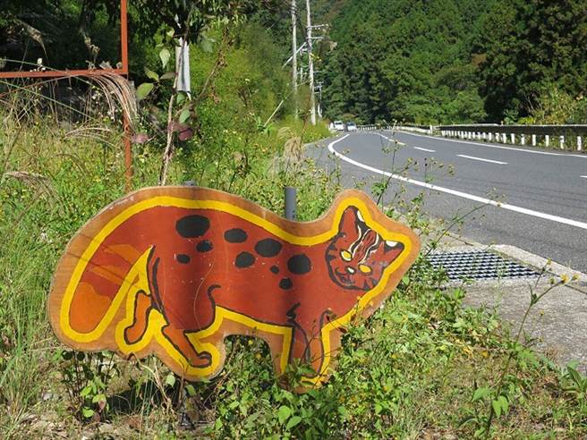 ▲对马当地也能看见小心对马山猫的看板。　图：长崎县观光连盟／提供