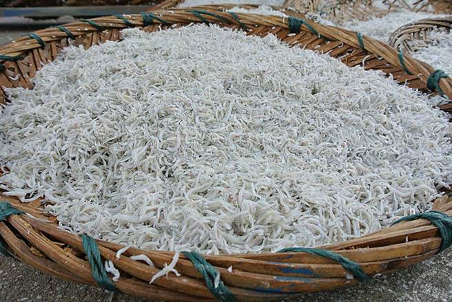 魩鱙以刺公鯷、異葉公鯷及日本鯷為主 (圖片：新北市漁業及漁港事業管理處提供 )