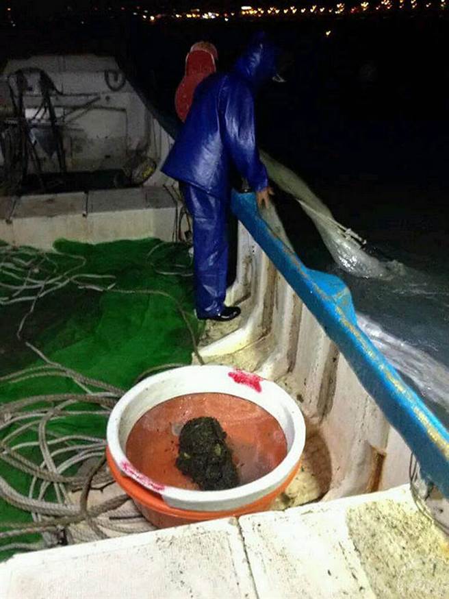 新北市魩鱙漁業主要產地為淡水區海域 (圖片：新北市漁業及漁港事業管理處提供 )