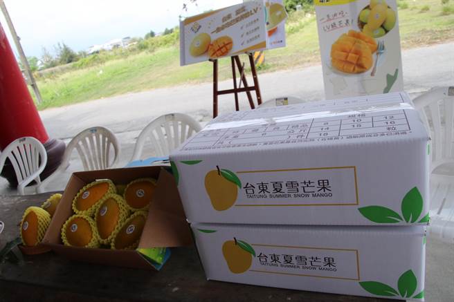 台東夏雪芒果廣受海外消費市場喜愛，今年更爭取授權貼紙與其他縣市有所區別。資料照。（台東縣政府提供／蔡旻妤台東傳真）
