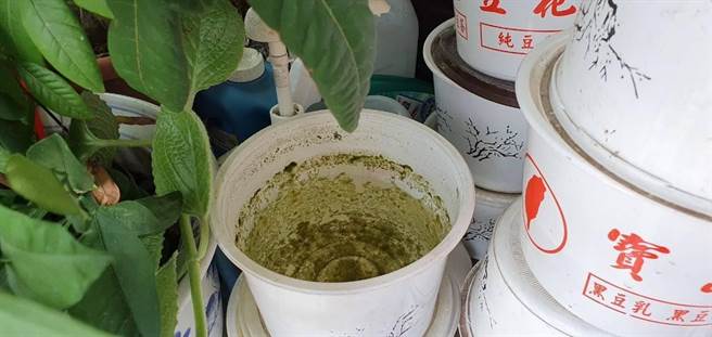 降雨產生積水容器極易成為病媒蚊孳生的溫床，呼籲民眾仔細巡查家戶內外積水容器，落實巡倒清刷。（台南市衛生局提供／曹婷婷台南傳真）
